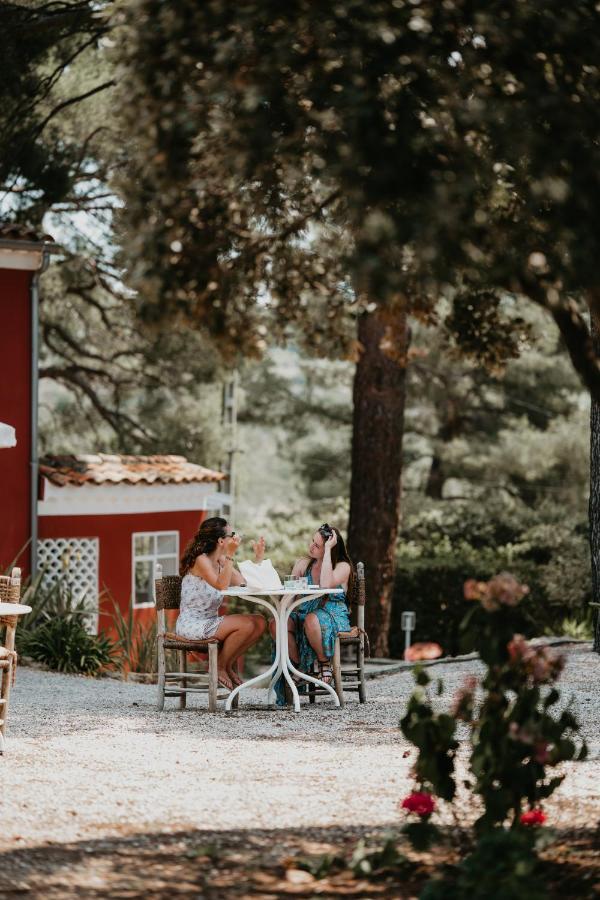 Le Cigalon Bed & Breakfast Le Beausset Bagian luar foto